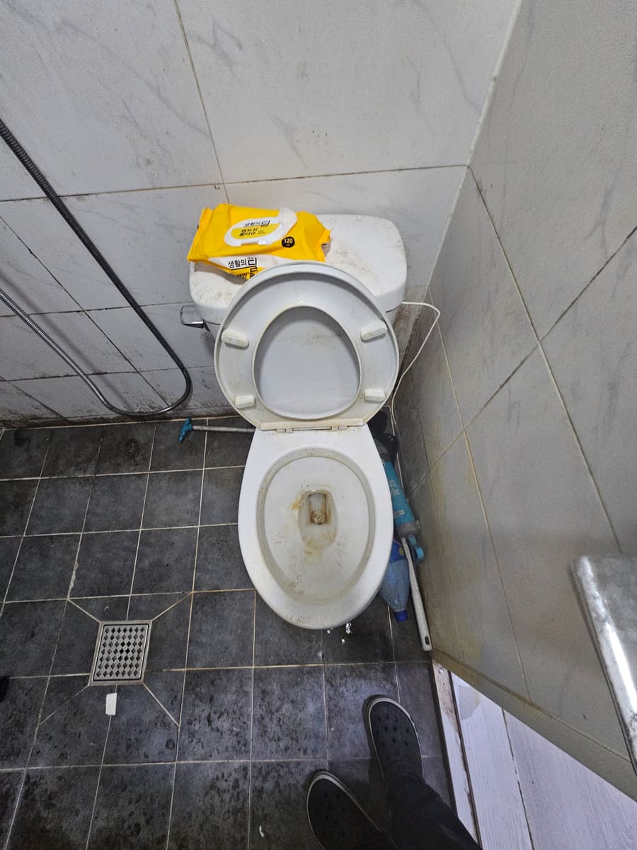 화장실 청소